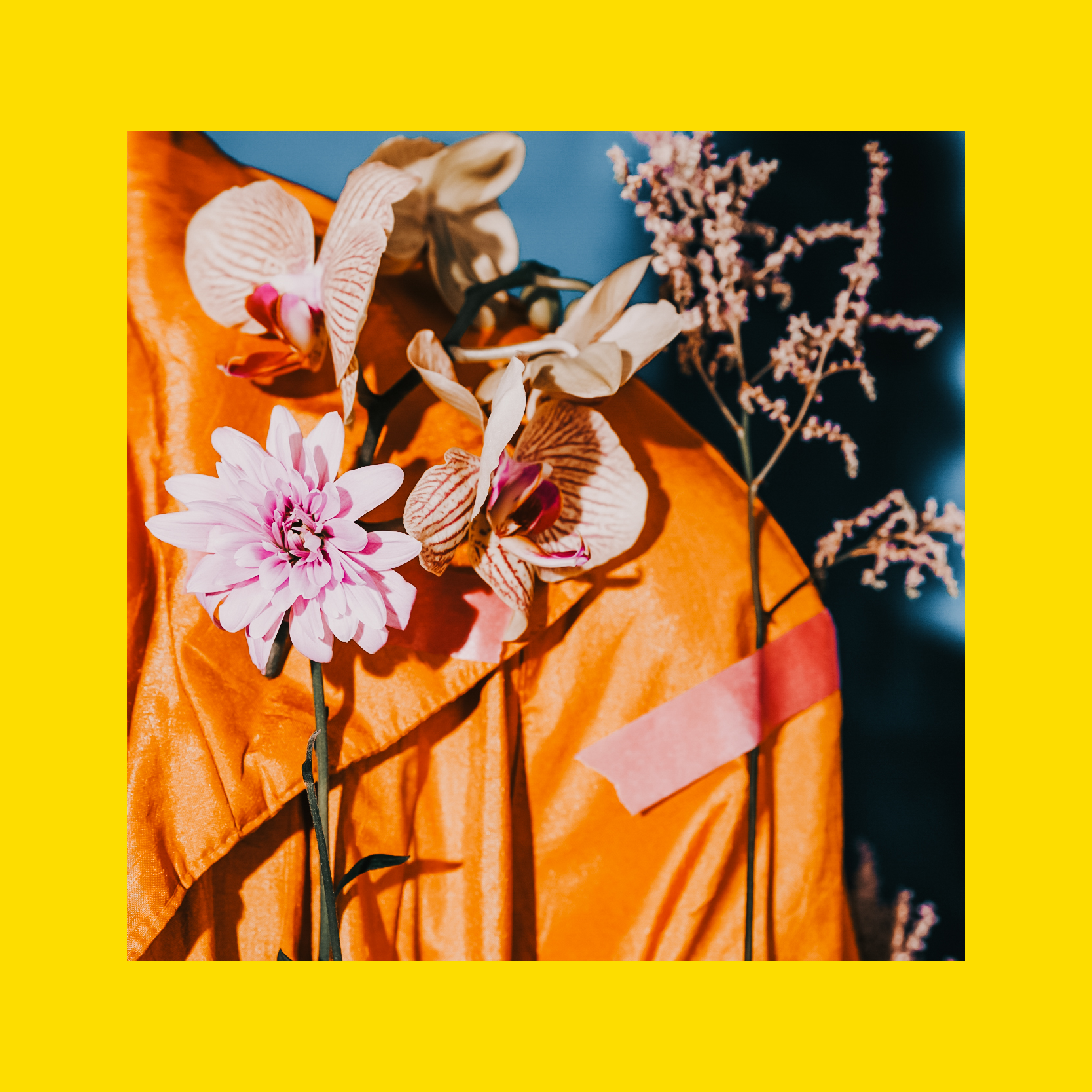 What’s Your Flower Story